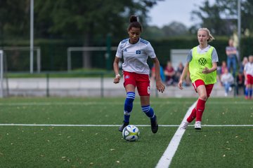 Bild 88 - C-Juniorinnen HSV - Walddoerfer : Ergebnis: 9:1